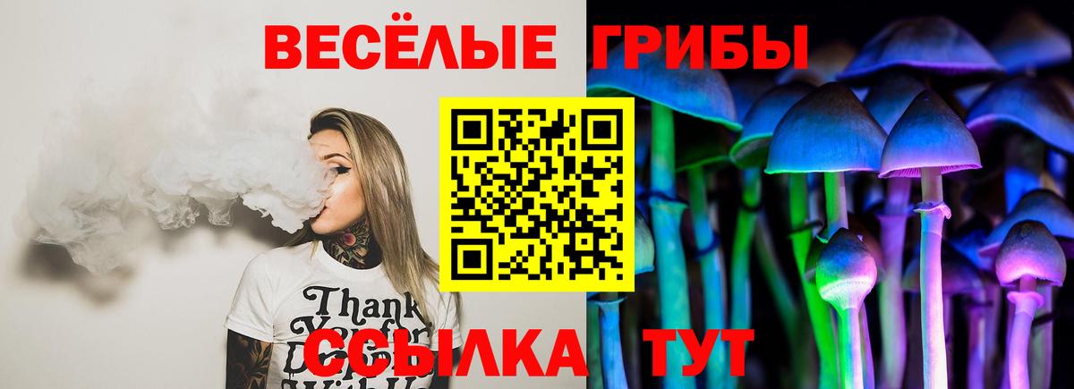 Галлюциногенные грибы GOLDEN TEACHER  где можно купить   Вход с VPN  Мыски  Галлюциногенные грибы ЛСД 